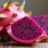 Is Dragon Fruit Low Carb? Get the Exotic Details