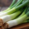 Are Leeks Low Carb? Quick Onion Family Check